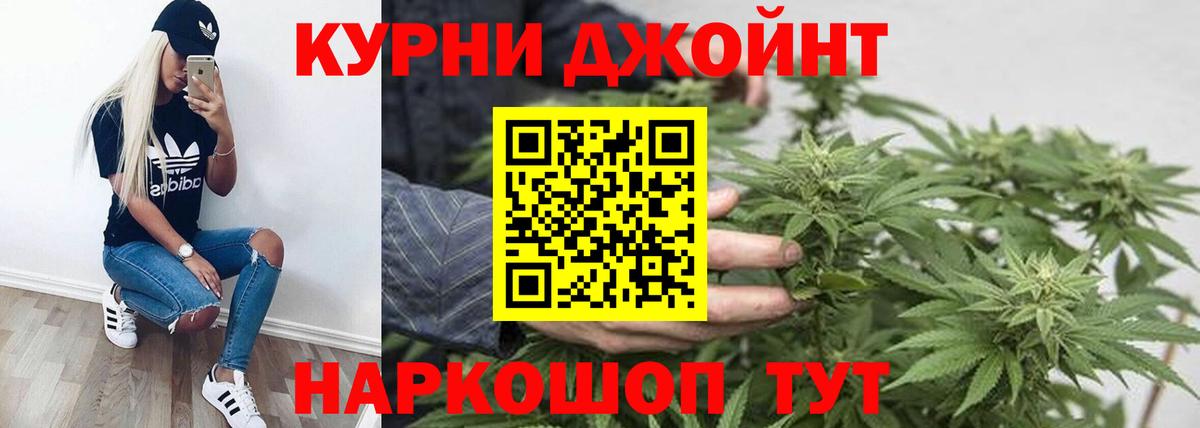 Канабис сатива Борзя